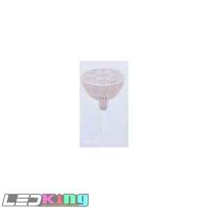 PAR38 55W BULB-10000K