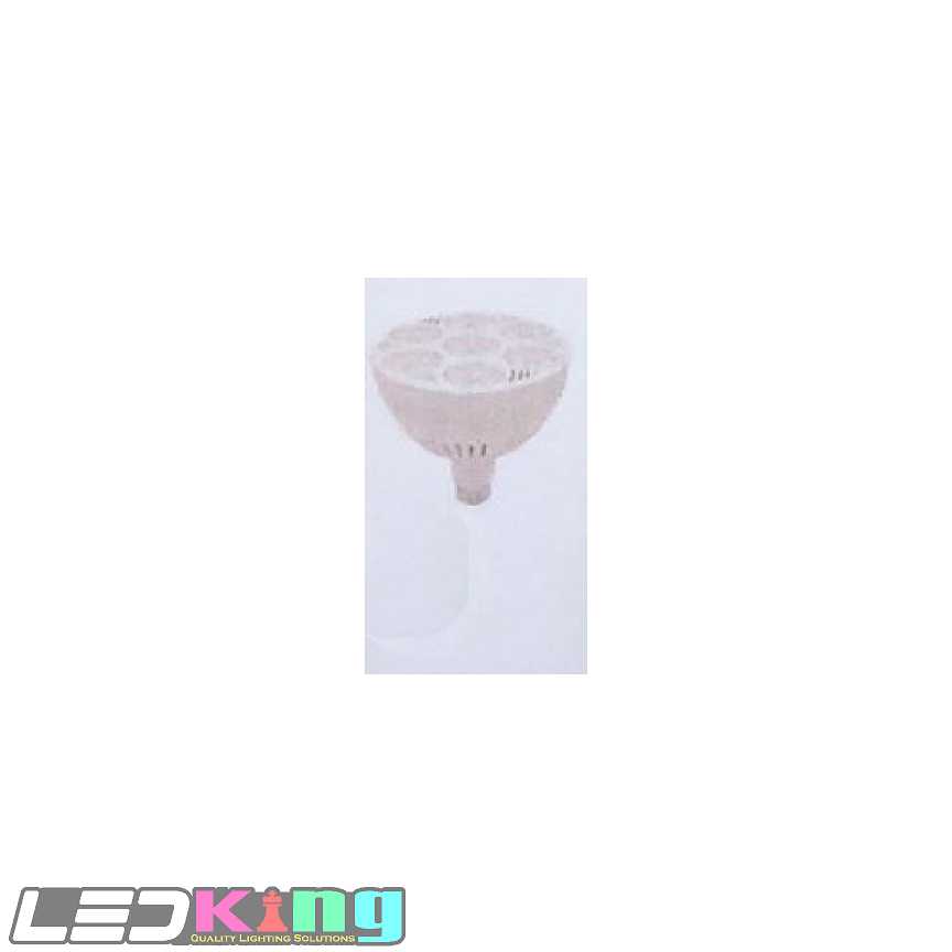 par38-55w-bulb-10000k