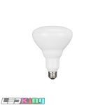 BR30 10W LED BULB-3000K