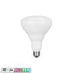 BR40 17W LED BULB-5000K
