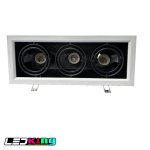 Adjustable Triple LED Recessed Ceiling Fixture (PAR20)