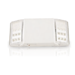 Fixed Head Emergency Light