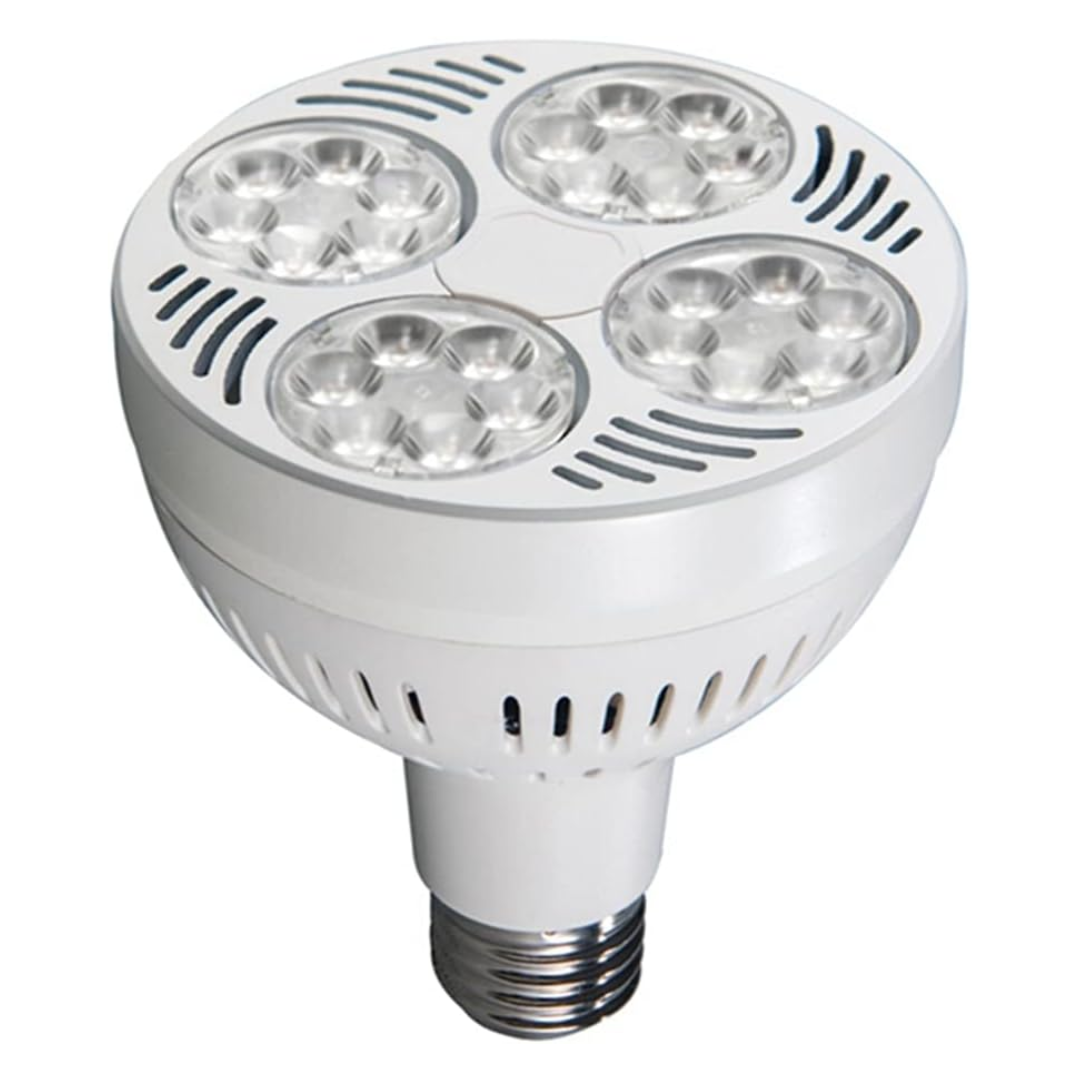 par-30-32w-led-bulb-10000k-daylight